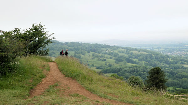 view